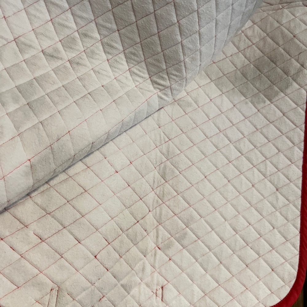 TUFF RIDER ๐ RED DRESSAGE PAD - Picture 3 of 5